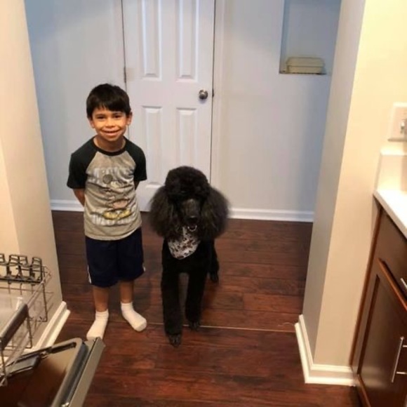 Meet your Posher, Elysa - Picture 1 of 1